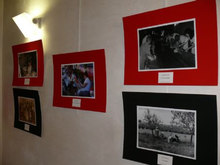 INAUGURADA, EN LA CASA DEL ARTESANO, LA EXPOSICIN DE FOTOGRAFAS  DE ESTAMPAS RURALES 