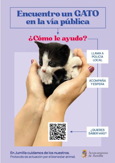 foto noticia