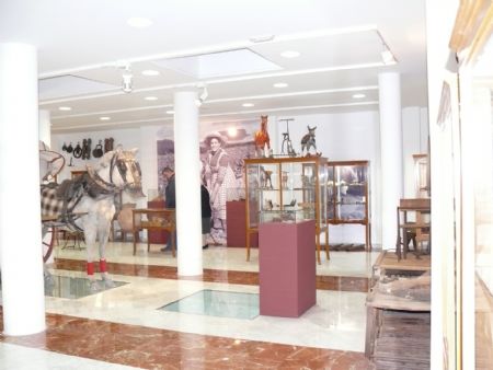 INAUGURADO EL MUSEO MUNICIPAL JERNIMO MOLINA DE ETNOGRAFA Y CIENCIAS DE LA NATURALEZA