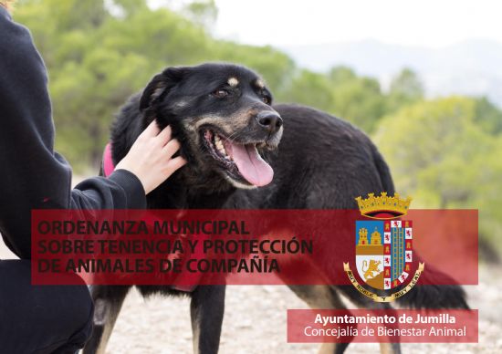 foto noticia