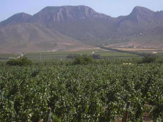 Agricultura y Montes ultima el acondicionamiento de la senda que conectar el Roalico con Santa Ana del Monte
