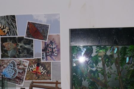 GRACIAS A UNOS TRABAJOS DE RESTAURACIN SE HA RECUPERADO LA LTIMA PLANTA DEL MUSEO DE ETNOGRAFA