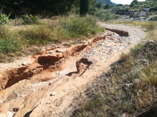 Las lluvias del pasado s�bado da�aron m�s de un centenar de kil�metros de caminos rurales del t�rmino municipal