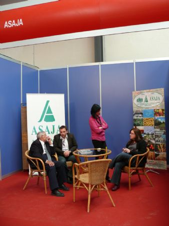 JUMILLA ACOGE, ESTE FIN DE SEMANA, EL XXXII CONCURSO-SUBASTA NACIONAL DE CAPRINO DE LA RAZA MURCIANO GRANADINA