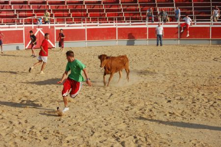 FINALIZAN, CON XITO, LAS FIESTAS DEL BARRIO JUMILLANO DE SAN FERMN