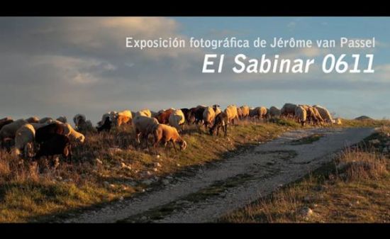 foto noticia