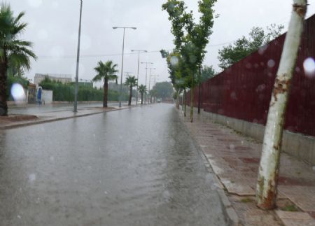 CAEN CASI 30 LITROS POR METRO CUADRADO EN JUMILLA EN TAN SOLO MEDIA HORA