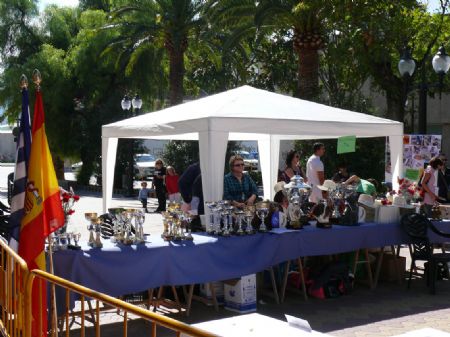 LA MONOGRFICA DEL CLUB ESPAOL DEL PERRO SAN BERNARDO CONT CON LA PARTICIPACIN DE MS DE 80 ANIMALES 