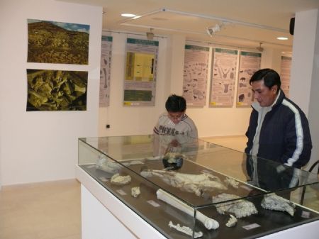 EL MUSEO ETNOGRFICO Y CIENCIAS DE LA NATURALEZA ACOGE UNA EXPOSICIN YACIMIENTO PALEONTOLGICO DE FONELAS