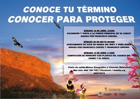 foto noticia