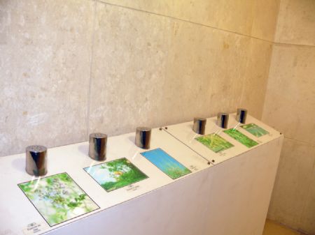 CERCA DE UN CENTENAR DE VARIEDADES  SE PUEDEN CONTEMPLAR EN LA MUESTRA PLANTAS TILES INAUGURADA AYER 