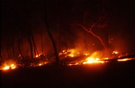 MS DE 200 PERSONAS PARTICIPARON EN LA EXTINCIN DEL INCENDIO OCURRIDO EN SANTA ANA
