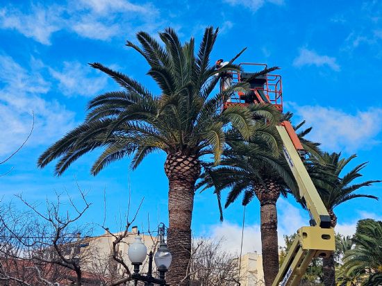 foto noticia foto noticia