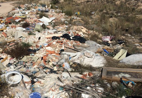 La Junta de Gobierno aprueba la limpieza de 15 vertederos clandestinos en el trmino municipal