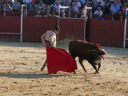 ALREDEDOR DE MIL PERSONAS ASISTIERON EL PASADO DOMINGO AL GRAN FESTIVAL TAURINO ALVARADITO