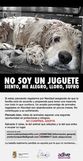 foto noticia