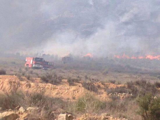 El incendio declarado en la Sierra de los Ruices ya se encuentra controlado