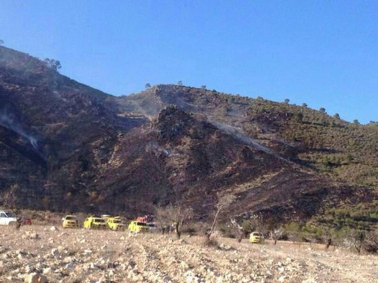 El incendio declarado en la Sierra de los Ruices ya se encuentra controlado