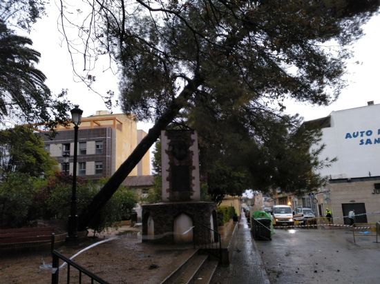 El temporal de viento en Jumilla deja multitud de daos materiales pero no personales