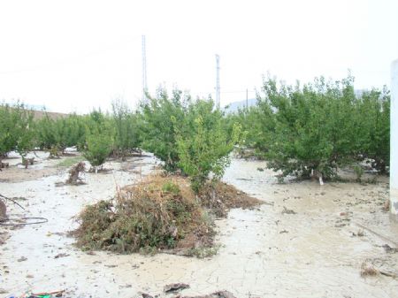 EL DELEGADO DEL GOBIERNO Y EL ALCALDE VISITAN VARIOS PARAJES AFECTADOS POR LAS LLUVIAS Y EL PEDRISCO