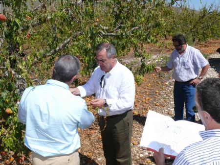 EL DELEGADO DEL GOBIERNO Y EL ALCALDE VISITAN VARIOS PARAJES AFECTADOS POR LAS LLUVIAS Y EL PEDRISCO