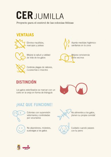 foto noticia