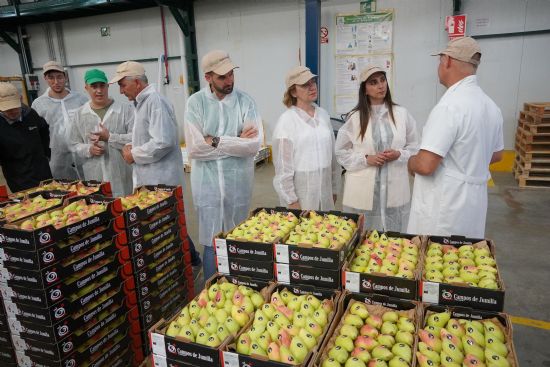 La consejera de Agricultura Sara Rubira ha visitado Jumilla, donde se prev recuperar las 20.000 toneladas de produccin de pera ercolini para este ao