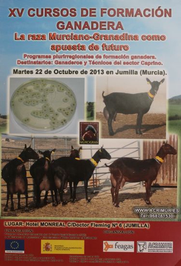 foto noticia foto noticia