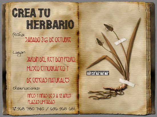 foto noticia foto noticia