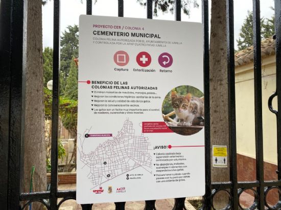foto noticia