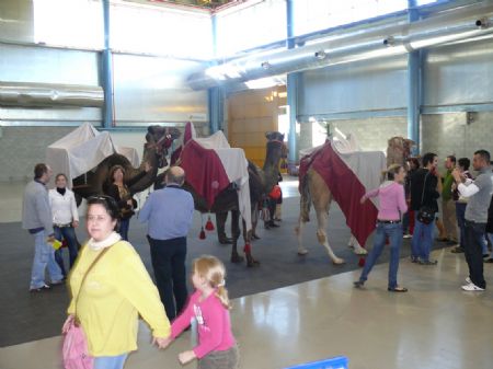 EL CONCEJAL DE FIESTAS VALORA SATISFACTORIAMENTE LA PRESENCIA DE JUMILLA EN LA FERIA DE ALICANTE EXPOFIESTA, VISITADA POR MS DE 20.000 PERSONAS