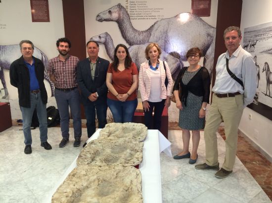 El Museo Jernimo Molina dona varias huellas fsiles a la Universidad de Murcia