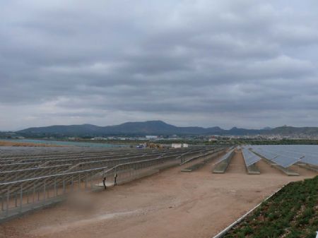 COAG PONE EN MARCHA EN JUMILLA UN HUERTO SOLAR QUE PRODUCIR 3 MEGAVATIOS