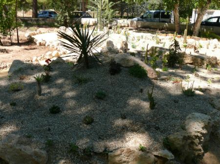 QUINCE DESEMPLEADOS ASISTEN A UN CURSO DE FORMACIN EN JARDINERA Y MANTENIMIENTO DE ESPACIOS PBLICOS URBANOS