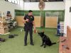 foto portada - noticia La Policía Local de Jumilla incorpora tres nuevos agentes caninos para reforzar la Unidad Canina