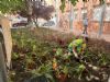 foto portada - noticia Jumilla avanza hacia un modelo de jardines y zonas verdes más sostenible y adaptado al clima para ahorrar agua