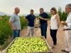 foto portada - noticia Jumilla reivindica el valor de su Pera DOP durante la visita del consejero de Agricultura al inicio de la campaña de recolección