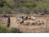 foto portada - noticia Gran hallazgo de una tumba intacta en la necrópolis del Collado y Pinar de Santa Ana en Jumilla que contenía un ajuar tartésico