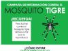 foto portada - noticia Medio Ambiente y Jardines intensifica la lucha contra el mosquito tigre con una campaña de control y concienciación ciudadana