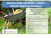 foto noticia