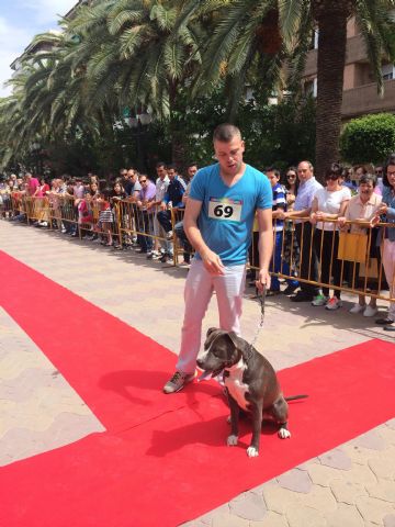 Fotoagrafía relacionada con la noticia, 
