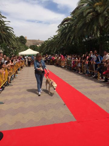 Fotoagrafía relacionada con la noticia, 