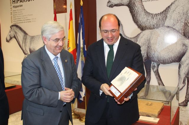 Fotoagrafía relacionada con la noticia, 