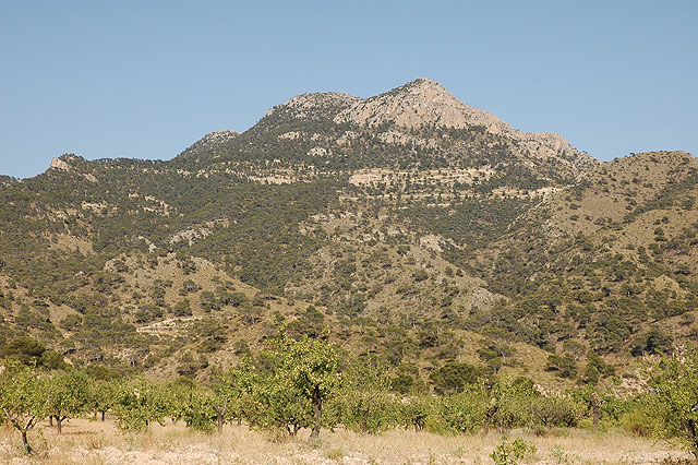 Ayuntamiento De Jumilla Ruta Del Carche