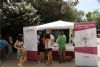 Ver foto 13 - Miniferia del Vino.