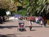 Ver foto 2
