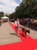 Ver foto 7