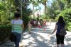 Ver foto 3